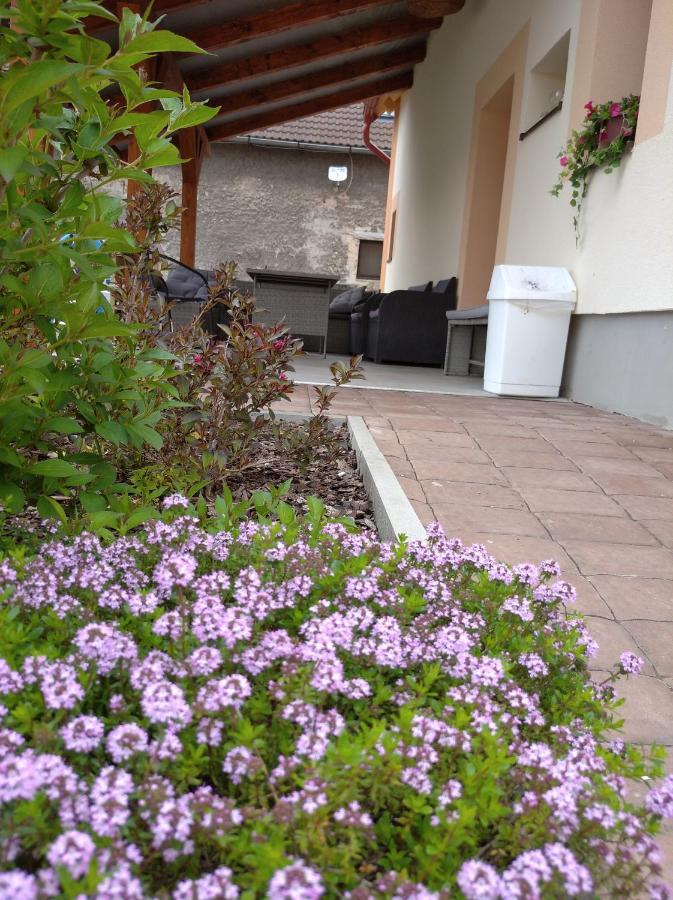 Apartmany Opolany מראה חיצוני תמונה